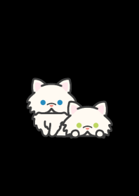 Short snout Cat W*darkmode*long-haired*