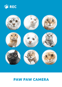 Paw Paw Camera -  Blue 03