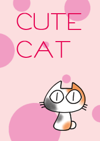 ほんわか三毛猫さん