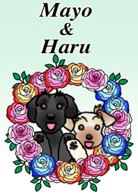 マヨちゃん＆ハルちゃん