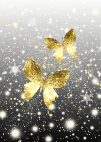 Butterfly twins.#11