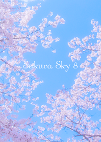 Sakura Sky 8