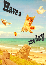 あっ！ねこちゃん！