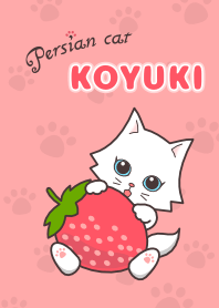 Persian cat KOYUKI ~Love strawberry~