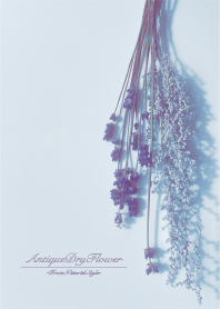 Antique Dried Flowers 4 / Natural Style