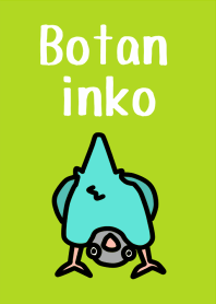 Button parakeet!