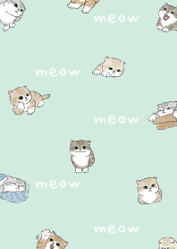 neko combo4 - mint cream