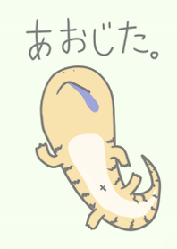 あおじた。。