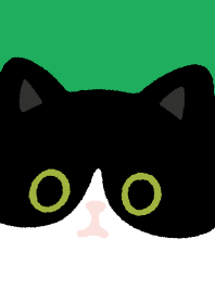 Tuxedo cat and Black cat..green2