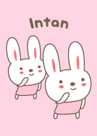 Cute rabbit theme name, Intan