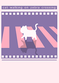 cat zebra crossing J-purple (Pi4)