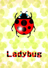 Colorful ladybug