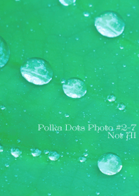 Polka Dots Photo#2-7 Not AI