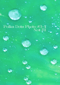Polka Dots Photo#3-4Not AI