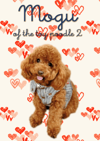 Mogu of the toy poodle 2 / real ver.
