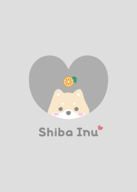 Shiba Inu2 Orange - gray