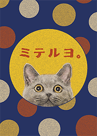 ミテルヨ。