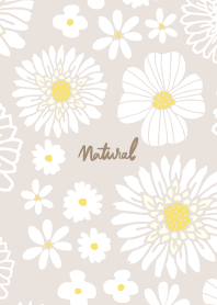 various white flowers7 from Japan