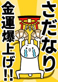 Fortune rise rabbit[Sadanari]