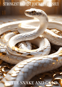 White snake and gold  Lucky 18