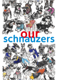 OurSchnauzer-Agility-2