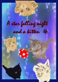 A star falling night and a kitten