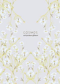 cosmos-art picture flower-