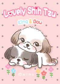  Lovely Shih Tzu
