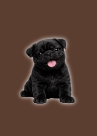 ぬいぐるみ黒パグ着せ替え Brown 01