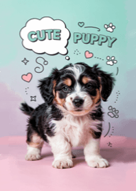 Cute Puppy.