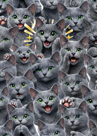 น่ารัก! รัสเซียนบลู