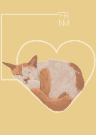 街頭貓老大-陪你度冬日