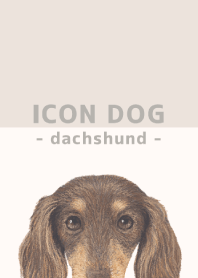 ICON DOG - dachshund - BEIGE/12