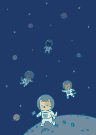 Cats land on the moon2