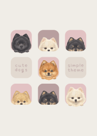 DOGS - Pomeranian - PINK GRAY
