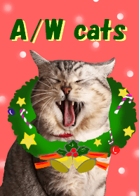 [autumn winter cats]