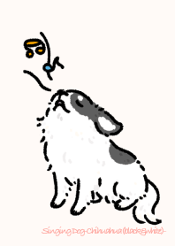 Singing Dog-Chihuahua(black&white)-
