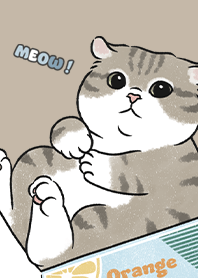 neko single14 / dark tan