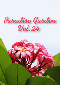 PARADISE GARDEN-24