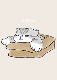 neko drawing3 / cream