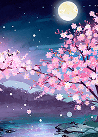 Beautiful night cherry blossoms#861