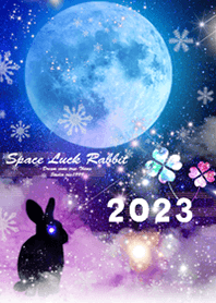 Space Luck Rabbit Moon*