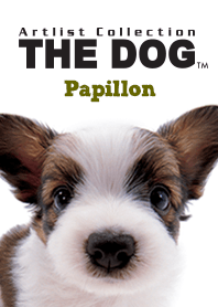THE DOG パピヨン