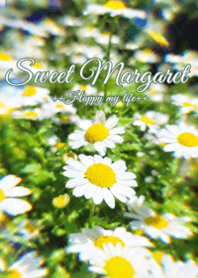 Sweet Margaret