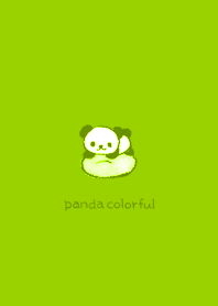 Panda colorful --- Yellow green