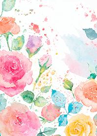 Beautiful rose flower(R4287)