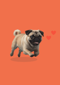 ธีมปั๊กน่ารัก 2 Red 05