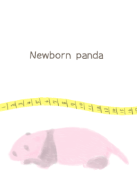 <Newborn panda>