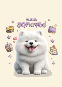 Samoyed Chubby Cute