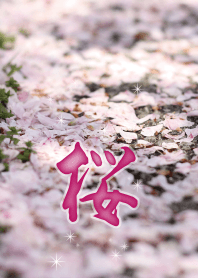 桜の花絨毯